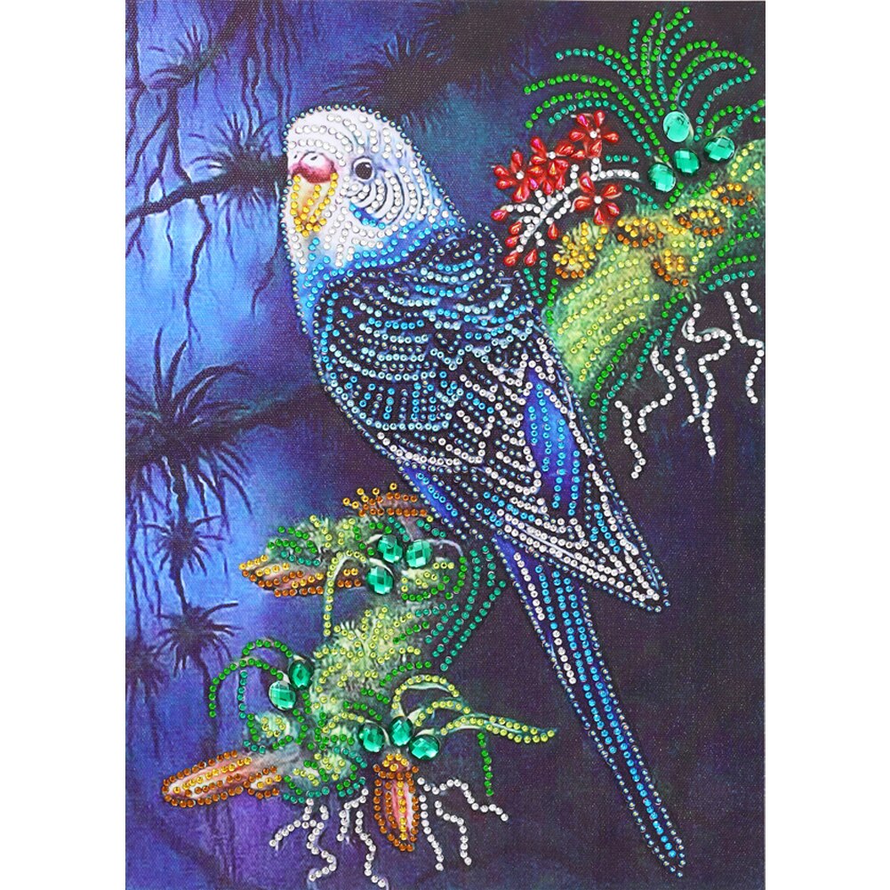 Pauw Vogels Kleur Handgemaakte Diy Diamant Schilderen Creatieve Handgemaakte Woondecoratie 11.8x15.7in: 01