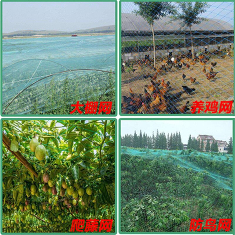 10m green Garden fence mesh Plant vines Climbing net A fence mesh Poultry breeding pheasant chicken fence Gardening net