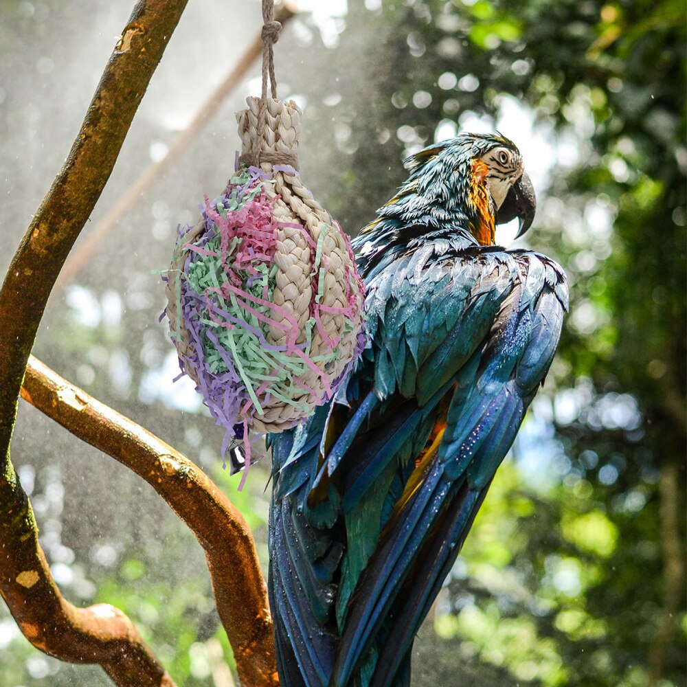 Oiseau perroquet jouets à mâcher paille oiseau morsure pour perruche perruche