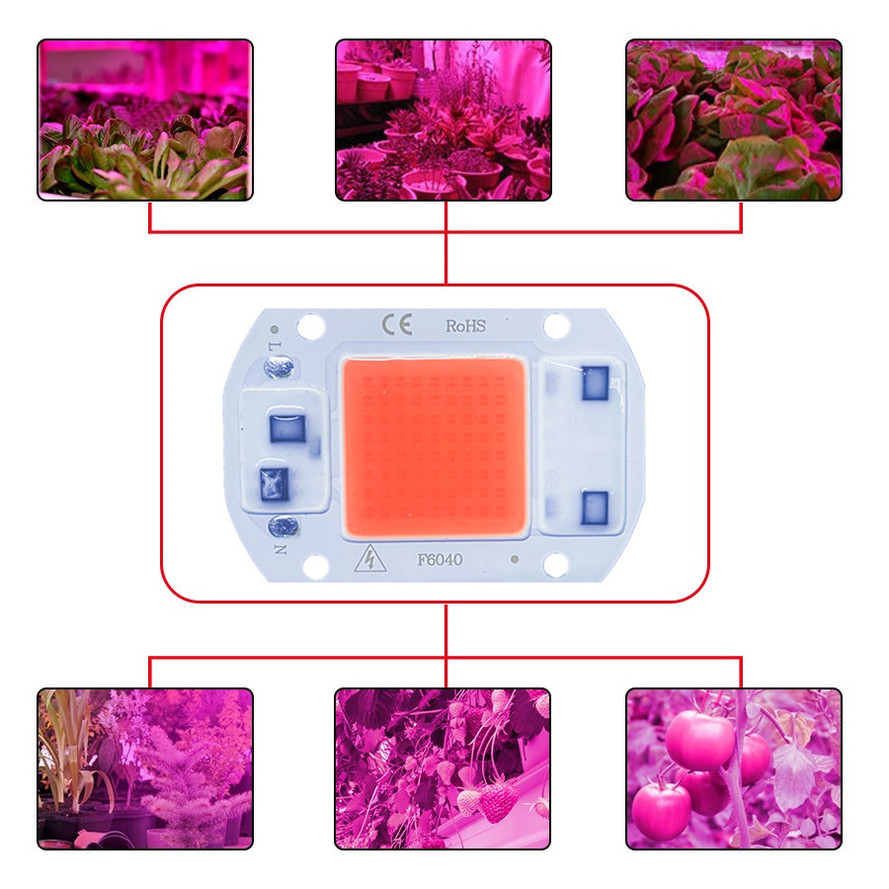 Phyto-lampe LED à puce COB, éclairage à spectre complet pour culture de plantes d'intérieur et floraison, ac 220V/110V 50W 30W 20W