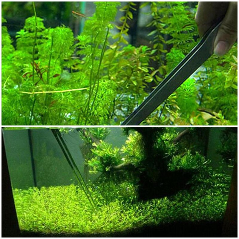 Rvs Gebogen Aquarium Pincet Aquarium Planten Garnalen Reef Pincet Straight Fish Tank Cleaner Aquarium Accessoires