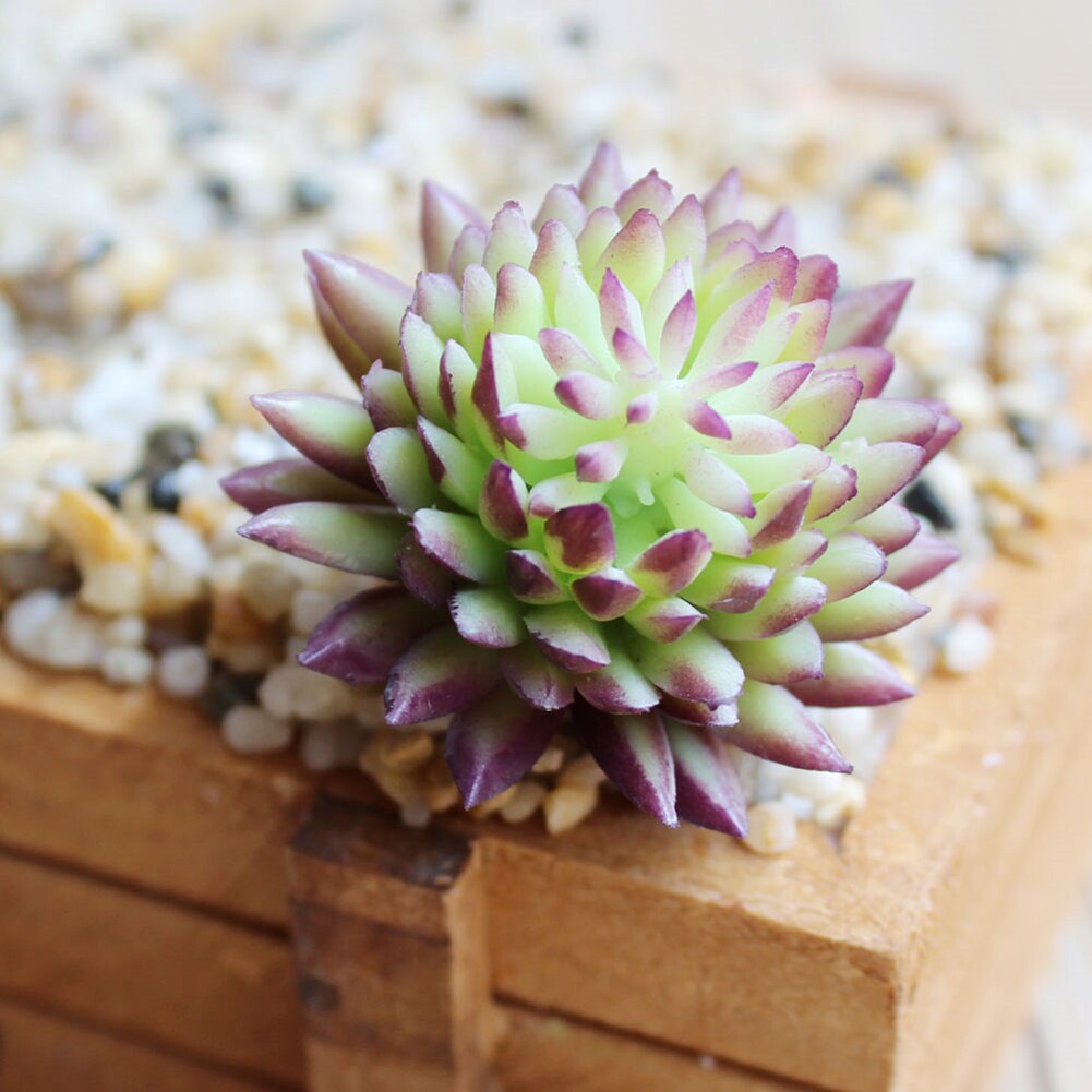 Mini bonsái Artificial de plástico para decoración de hogar y oficina, plantas suculentas de Echeveria, 1 unidad