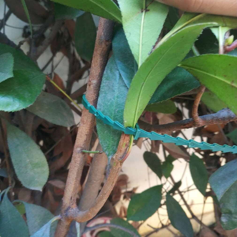 50 multi-purpose green garden lashing straps, self-locking plastic nylon garden wire ties, gardening fishbone ties