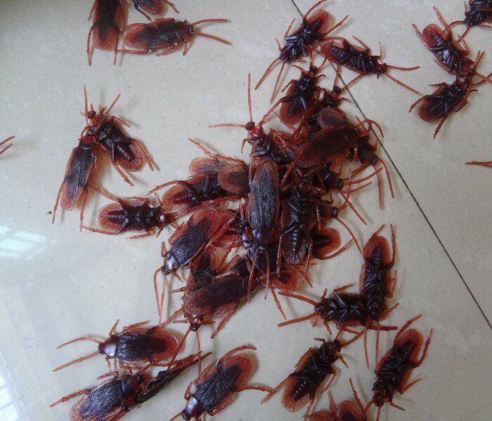 Aprilskämt leksaker knepigt hel människa hem kackerlacka simulering mört läskiga insekter