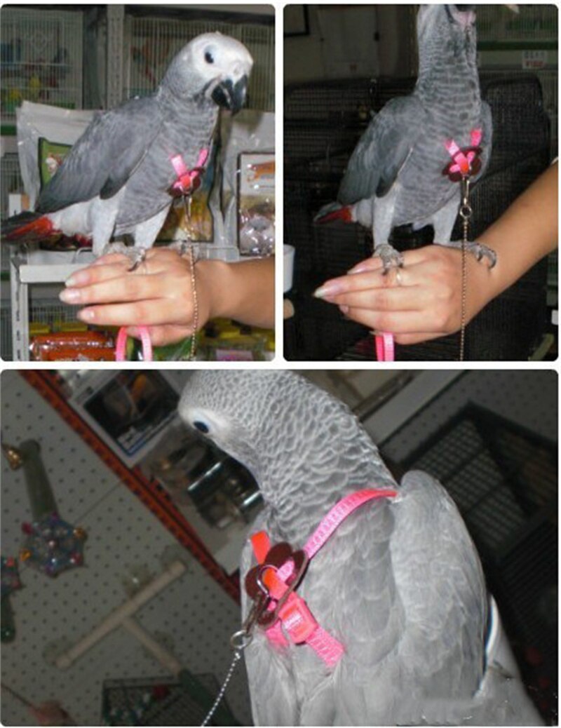 Portable Bird Parrot Traction Rope Bird Traction Rope Bird Flying Rope Walking Rope Adjustable Anti-bite Training Rope
