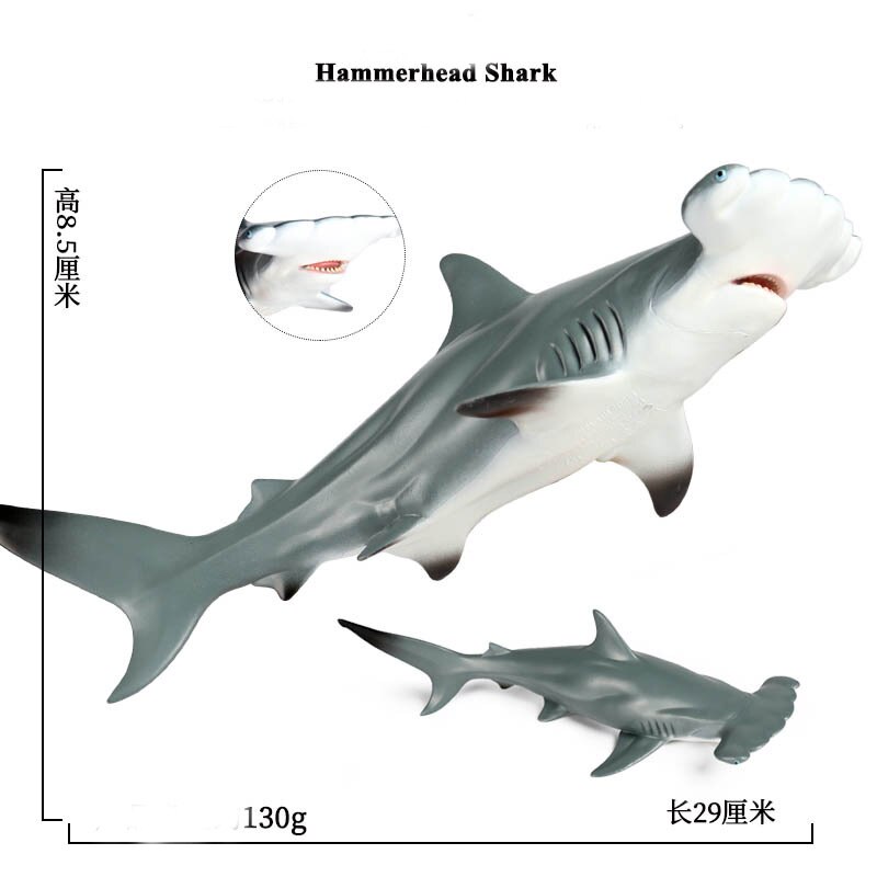 Simulatie Mariene Leven Onderwaterwereld Haai Model Megalodon Grote Witte Haai Tiger Shark Hammerhead Shark Speelgoed