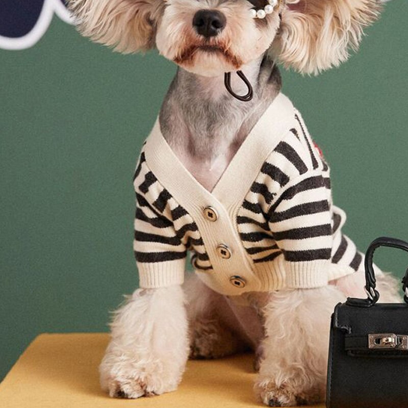 Ropa De Invierno Para Perro - Abrigo Chaleco Cálido, Terciopelo, Tallas XS A L, Para Perros Pequeños
