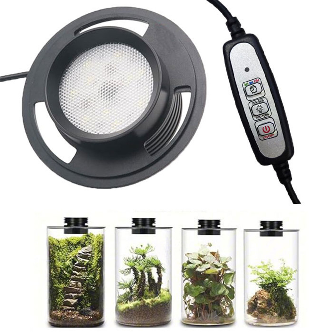 Lámpara de cultivo de plantas de terrario USB regulable con temporizador para jarrones, crecimiento de plantas de interior, paisaje de jardinería en miniatura suculento