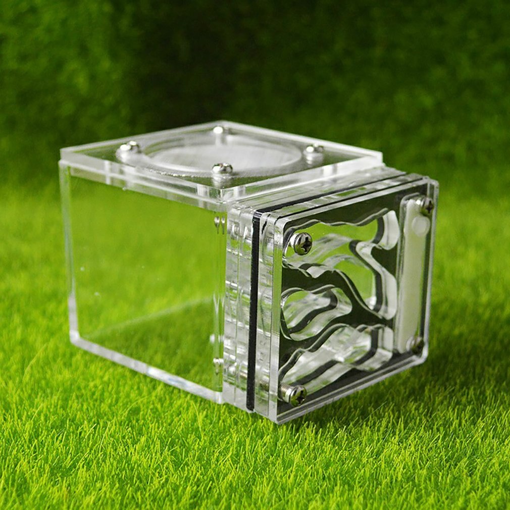 Mier nest Natuurlijke Ecologische Gips Mierenboerderij Ant Farm Insect Villa Ants House Huisdier Mania Huis Acryl