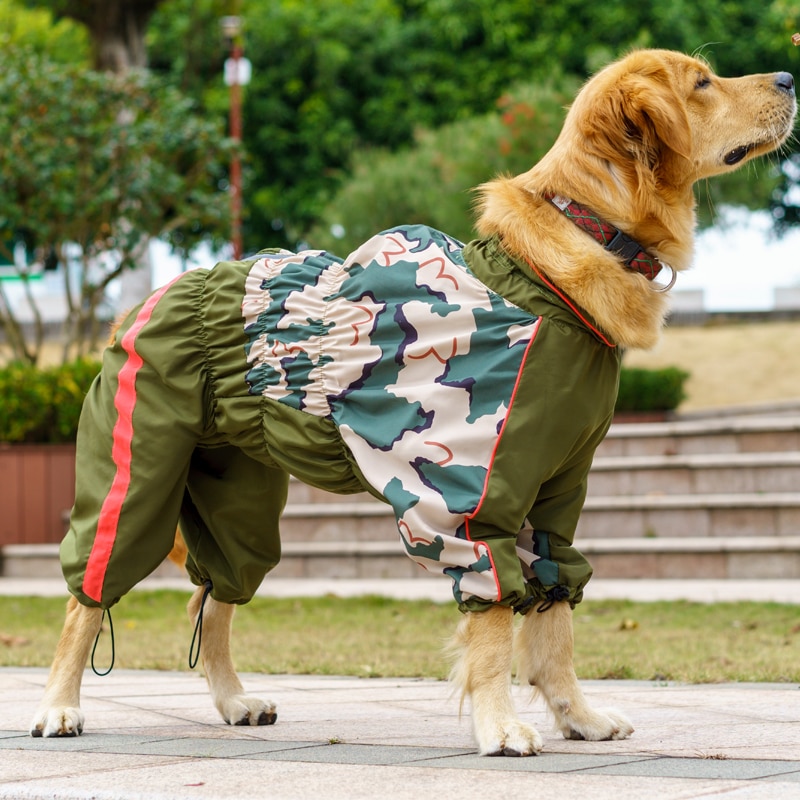 en lille forskellige Parlament Kæledyr stor hund regnfrakke jumpsuit vandtæt åndb... – Grandado