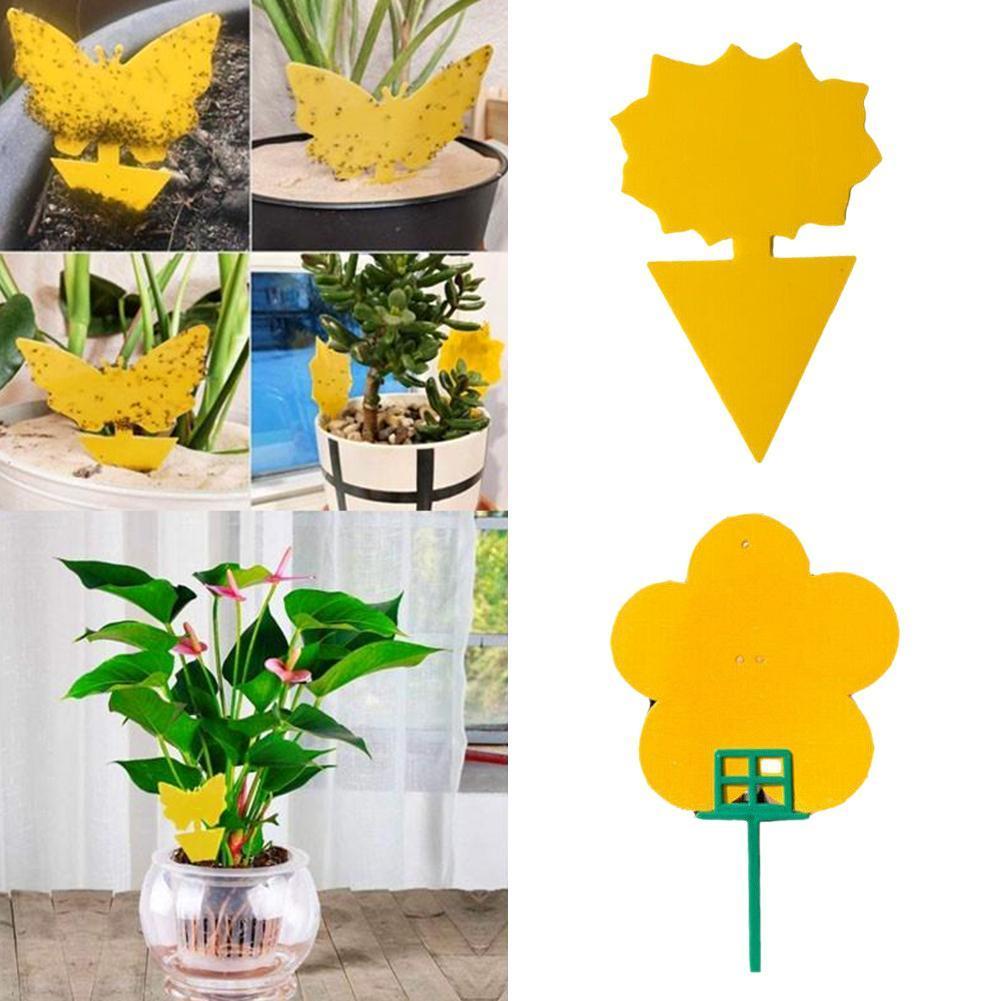 Collant insecte planche piège planche Double face jaune insecte planche bleu jardin imperméable planche en forme teinté fleur papillon
