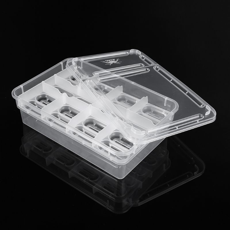 Caja incubadora de reptiles, bandeja para huevos, Gecko camaleón, herramienta de incubación