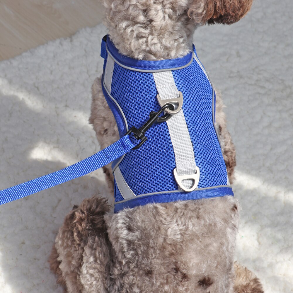 Mesh Cat Harness Reflective Dogs Cat Puppy Harnesses Leash Breathable Samll Dogs Harness Vest for Chihuahua Yorkshire Walking