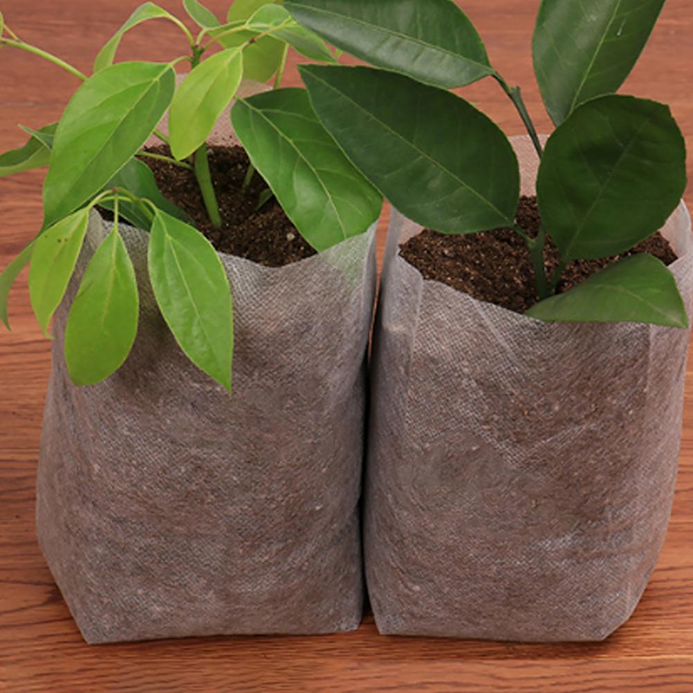 50% 100pcs-Degradable Corrosiebestendig Non Woven Non Woven Kwekerij Plant Grow Bag Planter Tuin Milieubescherming