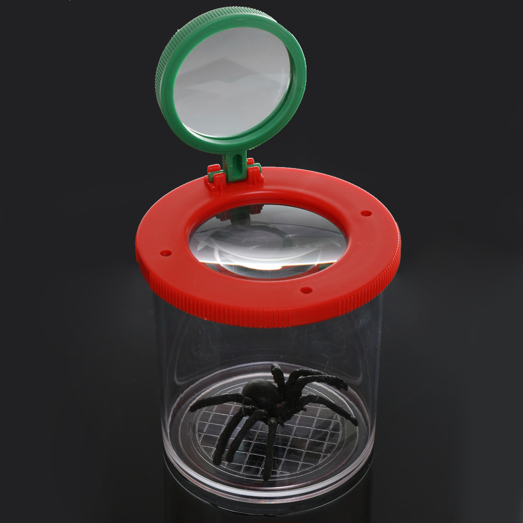 Bug Viewer Vergrootglas Insecten Vergroting Kind Speelgoed Entomologen