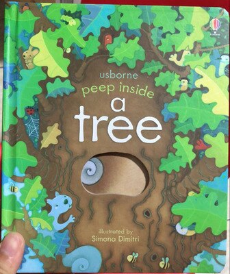 Peep Inside – livre de lecture avec images à rabat 3D, série anglaise, livre d'éveil précoce pour bébés et enfants: N