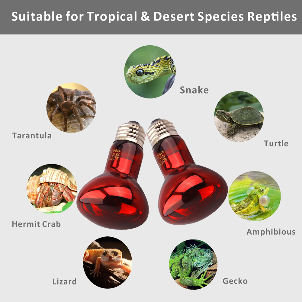220V UVA Amfibische Rode Verwarming Lamp 25/40/50/60/75/100W Infrarood Lamp Glazen Lamp Accessoires voor Reptielen Slang Hagedissen