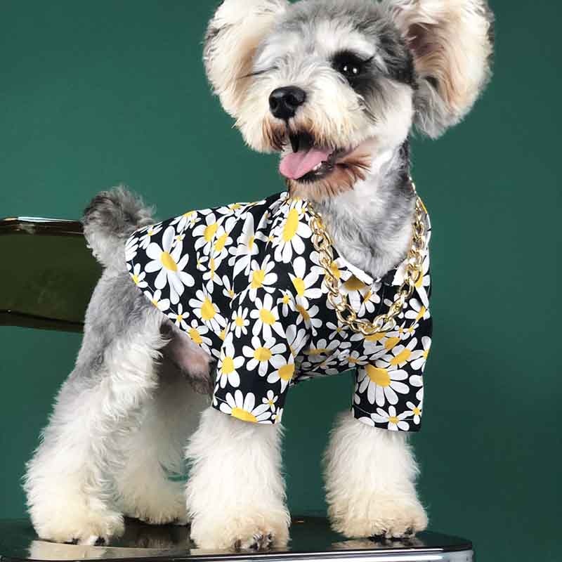 Hundetøj sommer tyndt snit net rød med samme afsnit krysantemum skjorte fransk bulldog bamse schnauzer corgi kæledyr ud