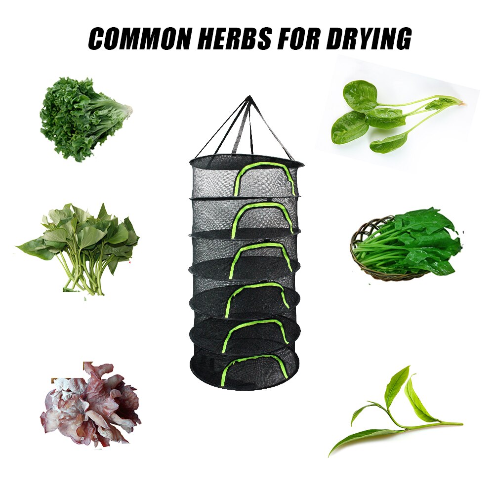 Red De Secado De 6 Niveles Para Hierbas Y Alimentos - Plegable, Con Ganchos, 60x120 Cm