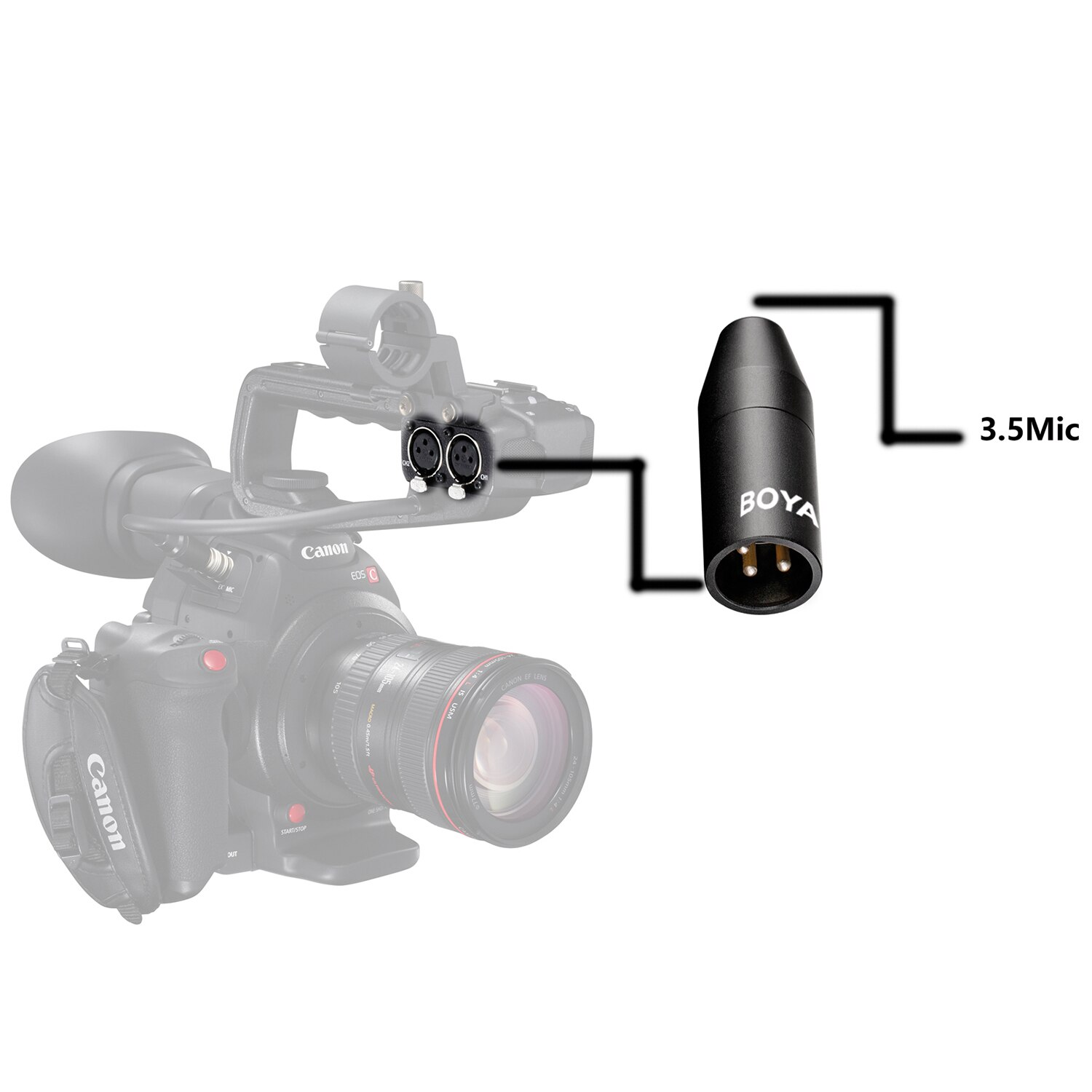 BOYA 35C-XLR Adaptador de micrófono hembra Mini-Jack de 3,5 mm (TRS) a conector macho XLR de 3 pines para videocámaras Sony, grabadoras y mezcladores