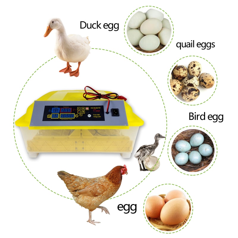 48 Egg Brooder Digital Automatic Egg Incubator Hatcher Chicken Poultry Humidity Temperature Control Hatching machine