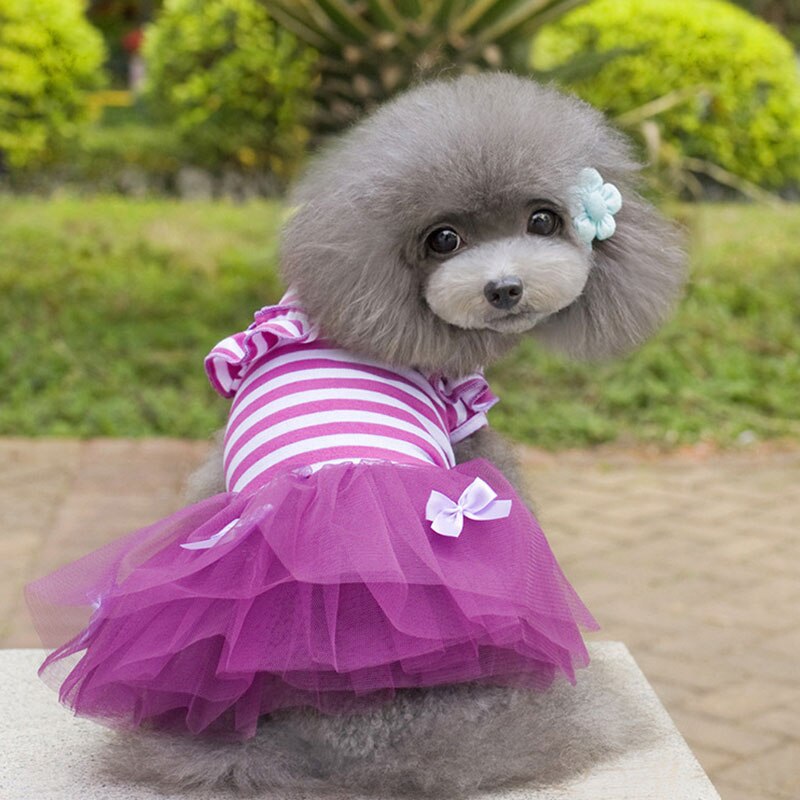 Katze Hund Hochzeit Kleid Sommer Hund Kleidung Felsen Prinzessin Kleider Welpen York Yorkie Pommerschen Pudel Bichon Malteser Hund Kleidung: Lila / XS