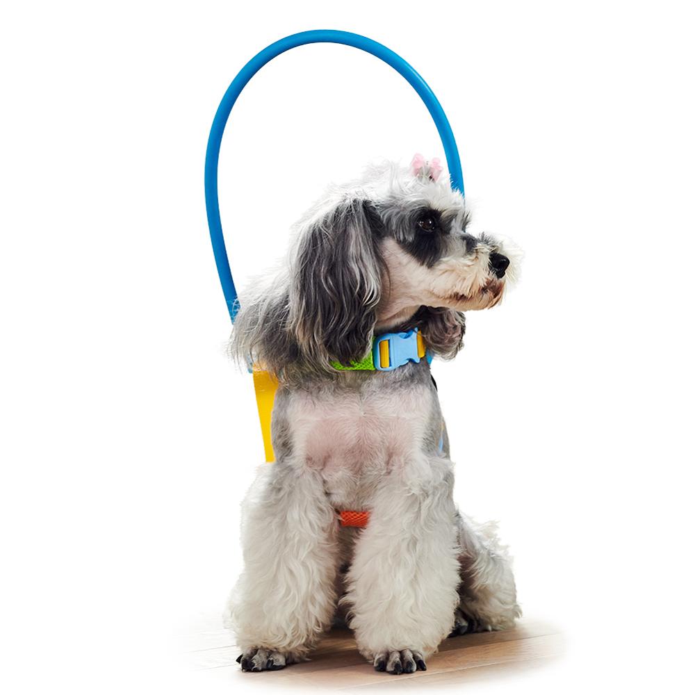 Praktische Upgraged Blind Hond Harnas Vest Blind Honden Beschermende Vest Ring Voor Honden Met Zieke Ogen Huisdier Voorkomen Botsing