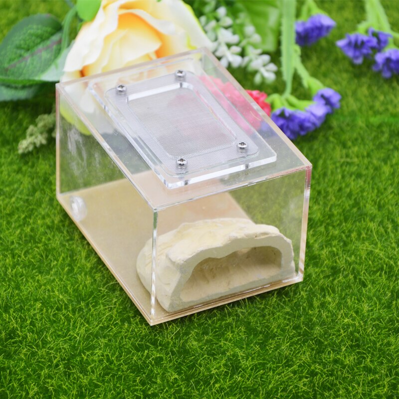 Imitation Ecological Ant Farm DIY Plaster Rockery Pet Ant Castle Landscaping Workshop Home Ants Farm House: SF-A003