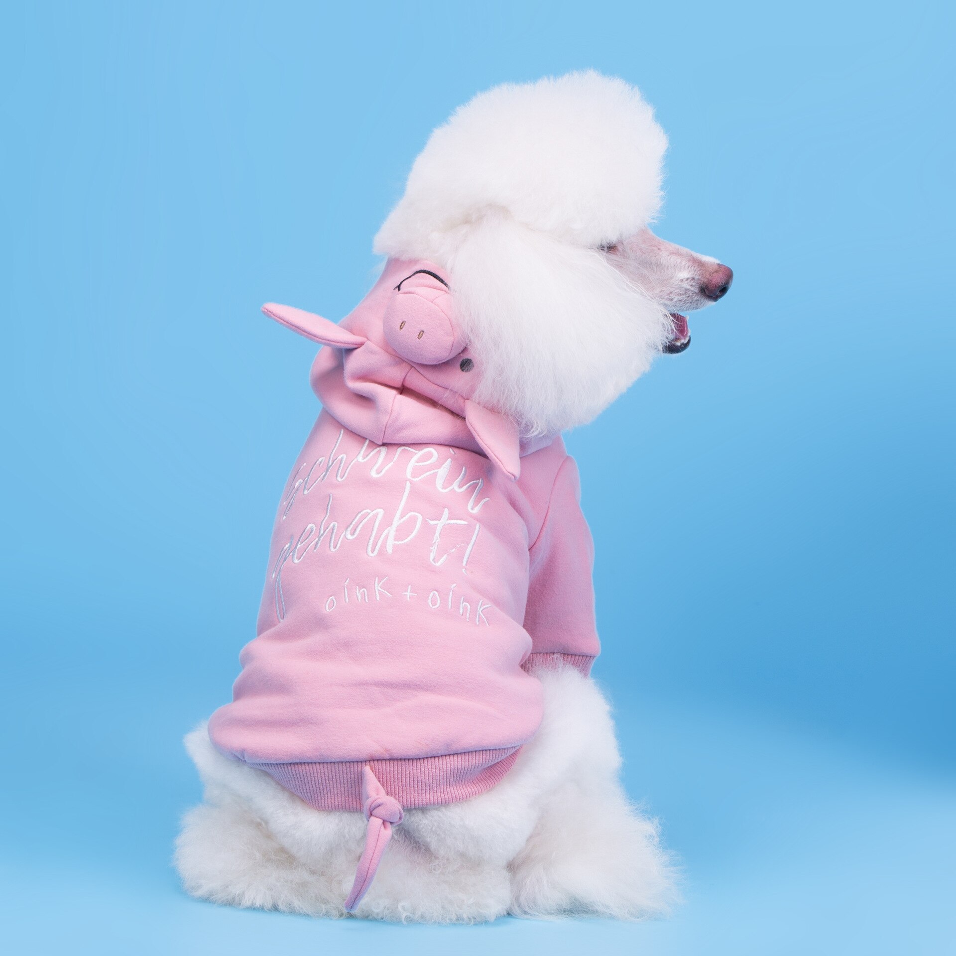 Hond Kleren Herfst En Winter Hond Kleding Katoen Elastische Pluche Sanitaire Hond Hoodies Huisdier Kleding Winter