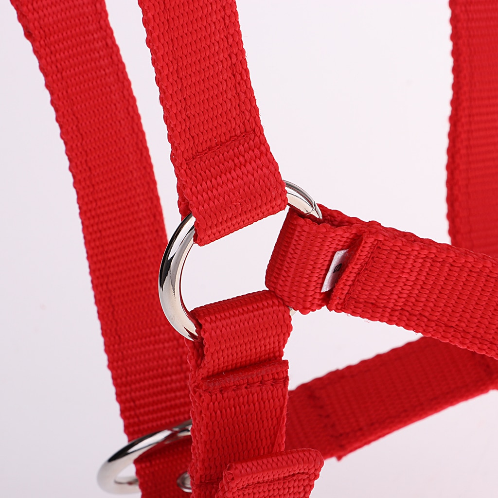 Ajustable Nylon caballo occidental ecuestre Halter Headstall Headcollars
