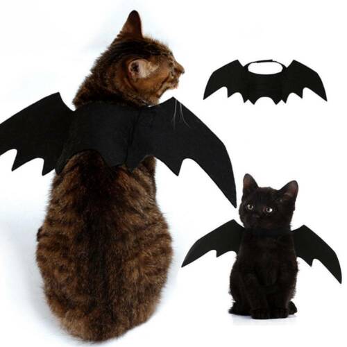 Halloween huisdier hond kostuums vleermuisvleugels vampier zwart schattig verkleedkostuum halloween huisdier hond kat kostuum