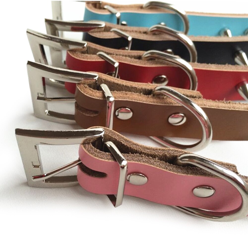 Met spikes versierde kleine grote kattenhalsband met klinknagels, hondenhalsband voor kittens, leren halsband voor pitbull en bullcat.