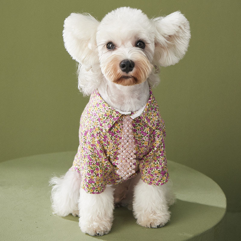 Plush Dog Shirt Spring Autumn Chihuahua York Puppy Clothes Pomeranian Poodle Bichon Teddy Schnauzer Corgi Shiba Lnu