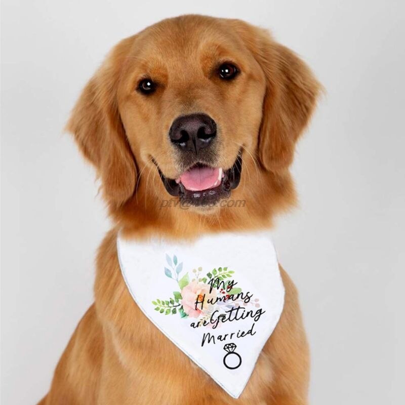 Double Layers Dog Bandana My Humans are Getting Married Letters Floral Wedding Triangle Bibs Scarf Valentine Neckerchief