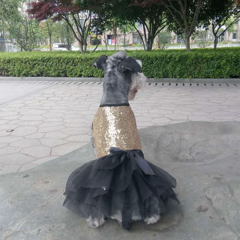Vestido con lazo para perro y gato, falda con tutú, Princesa de lujo, para de boda, Chihuahua, verano,: Oro / L