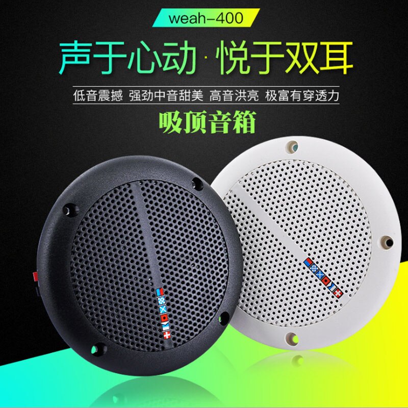 Home Theater Ceiling Speaker Waterproof Broadcast Passive Speaker Landscape Loud Speakers