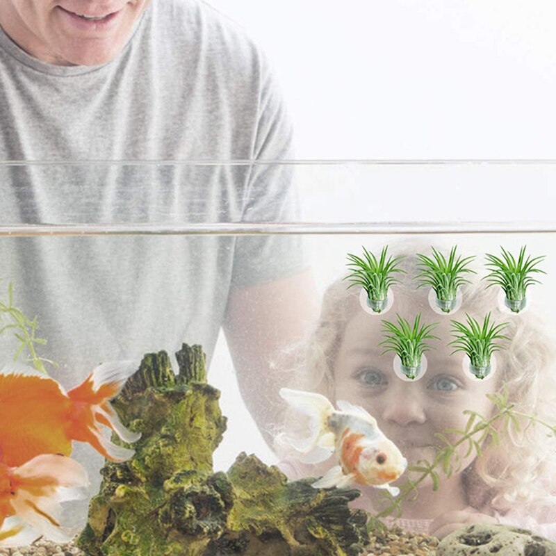 20 Stck Luft Pflanze Halfter, blumentopf Tillandsia Halfter Luft Pflanze Aufhänger mit Saugnapf für Hängen (Pflanzen Nicht Enthalten)