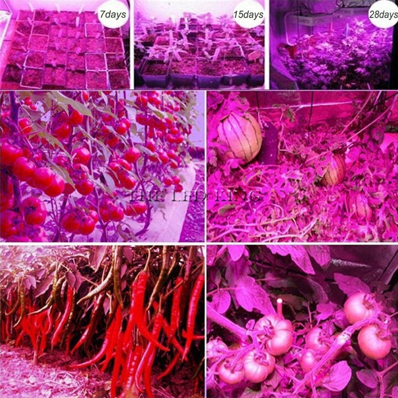 Led odlingslampa fullspektrumlampor för växtblommor  e24 e14 gu10 mr16 b22 220v 48 lysdioder 60 lysdioder 80 lysdioder fytoväxtlampor