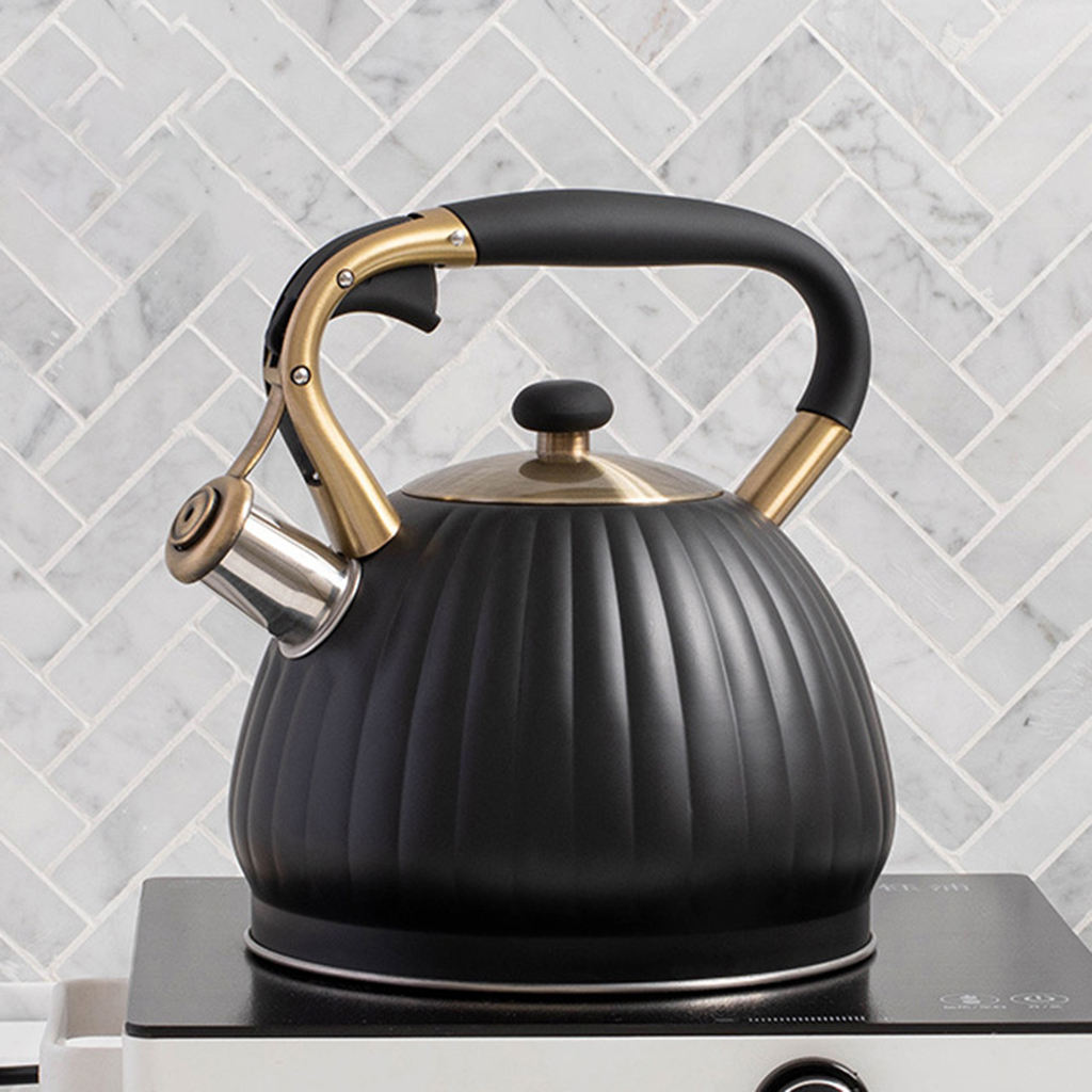 Rvs Waterkoker Voor Thee Koffie Melk Etc Alle Fornuis Top/Inductie Gas Elektrische Toepassing 3.5L