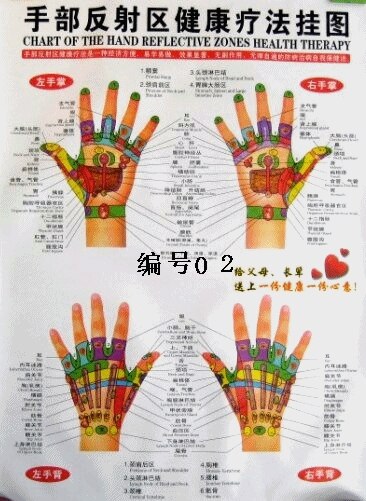 The Human Skeleton Diagram Of Meridian Acupoint Location Maps Visceral Organ Function For A Set Of 13