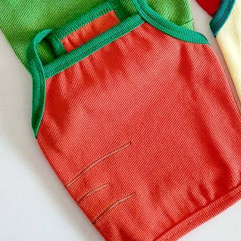 Fruit Bretels Hond Vest Huisdier Teddybeer Xiong Bomei Schnauzer Puppy Puppies Melk Honden Katten Kleine Hond Kleding: Orange / XL