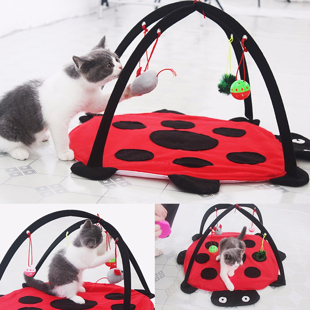 Play Foldable Shape Cat Supplies House Furniture Comfortable Hanging Funny Training Removable Pet Bed Toy