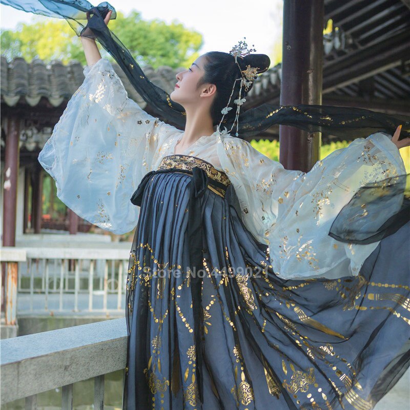 Women Chinese Style Traditional Folk Dance Costume Oriental Han Dynasty Fairy Performance Hanfu Crane Singer Printed Skirt Set