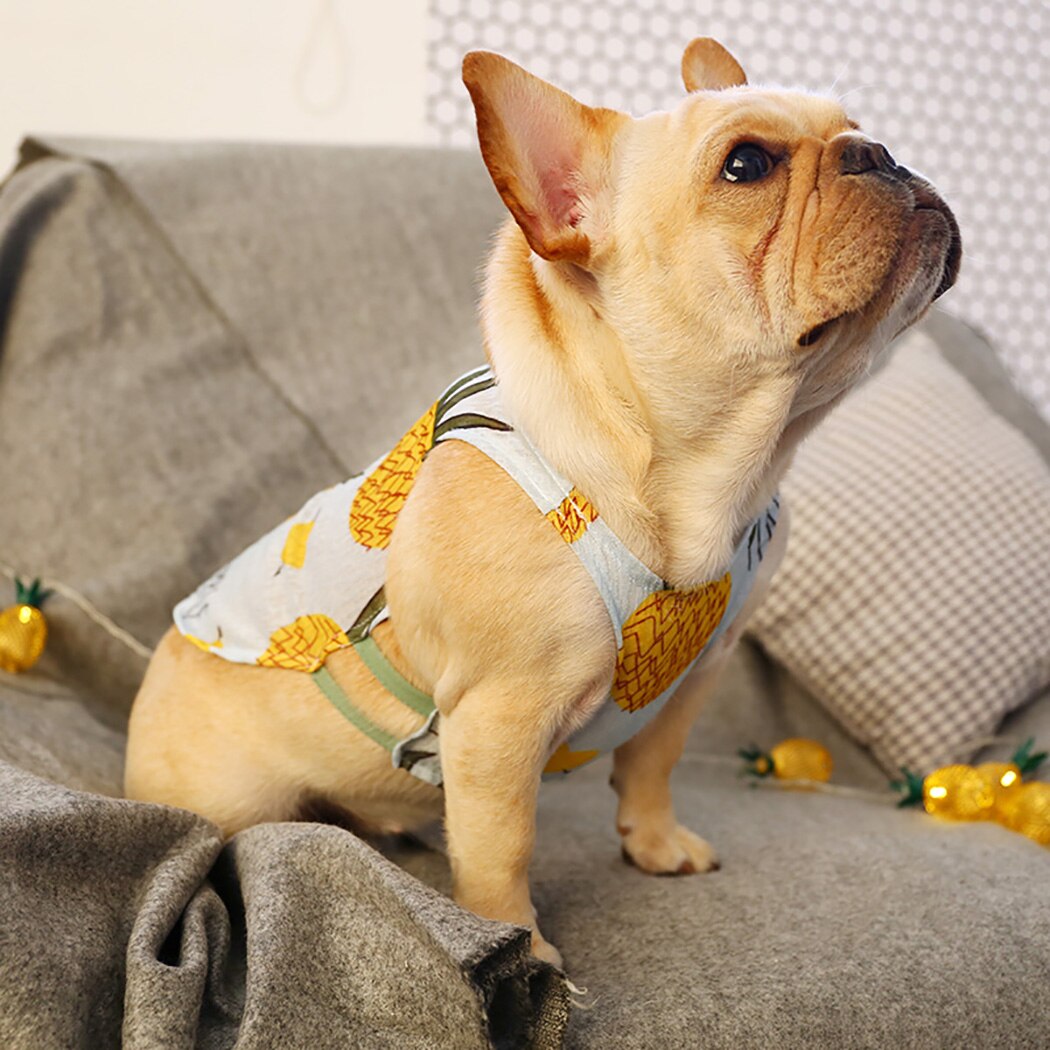 Kamizelka dla szczeniaka śliczne fajne oddychająca kamizelka dla psa koszula dla buldoga francuskiego corgi odzież dla zwierząt kot strój ubrania dla psów dla małych zwierząt domowych