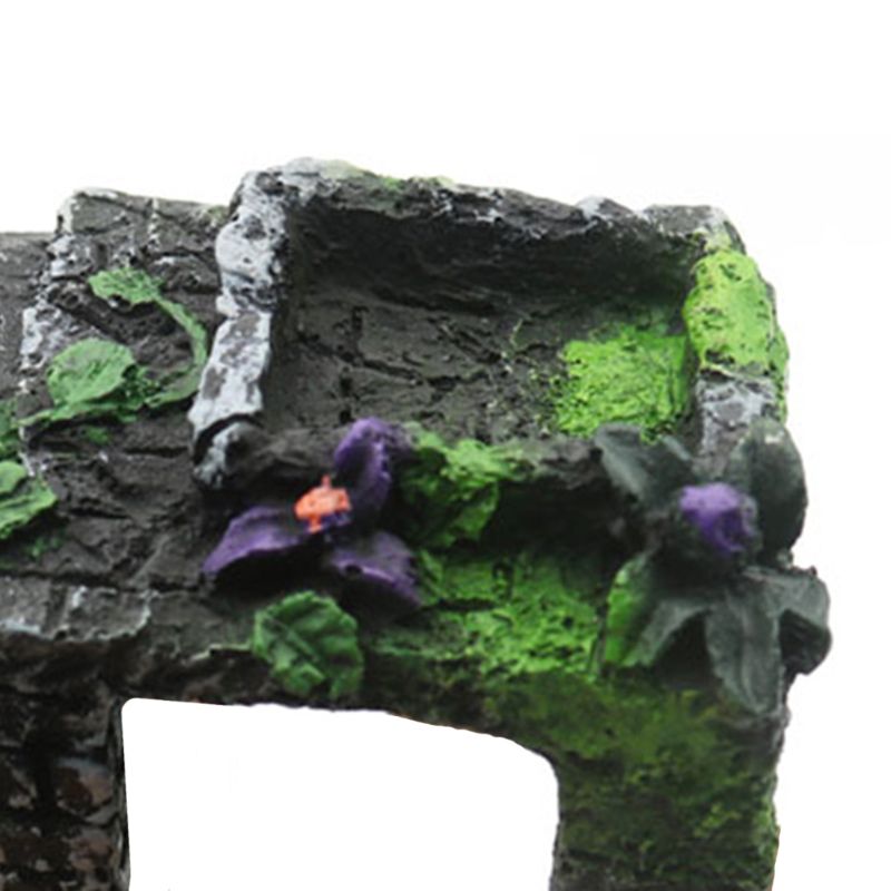 Schalie traprand voor aquaria en terrariums voegt schuilplaatsen toe en zwemt door  x6hc