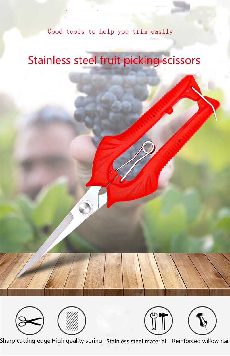 Pruning shrubs, tools, plants, gardening, potted plants, leaf pruning, pruning, gardening, fruit, flower beds, and hand tools su