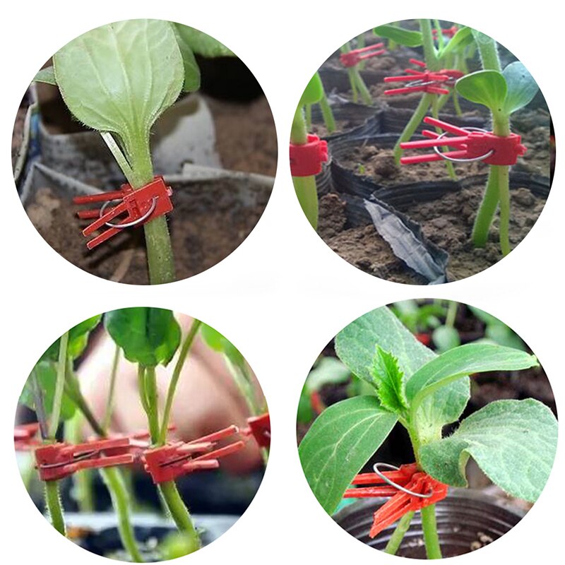 ESTILO DE 100 Uds. Tenazas de injerto de plástico duraderas para jardín, tomate, flor, enredadera, plantas