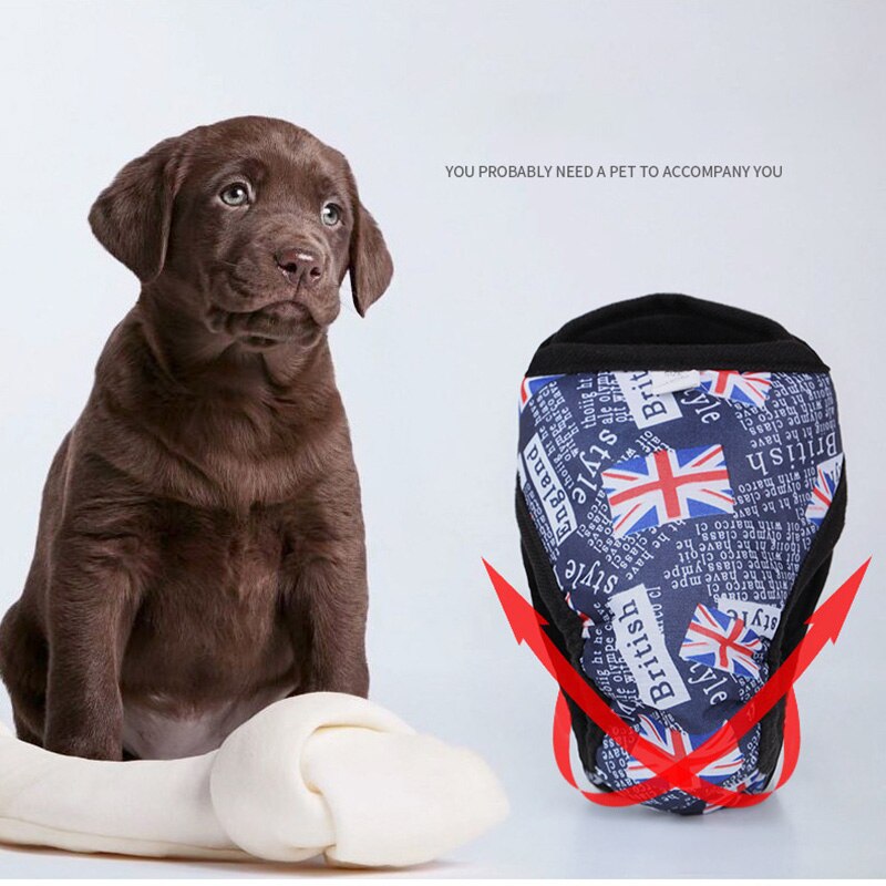 Hundblöja hona hane tvätt slitstark doggie blöjor byxor hund wraps doggy trosa husdjur underkläder sanitära kort fysiologisk y