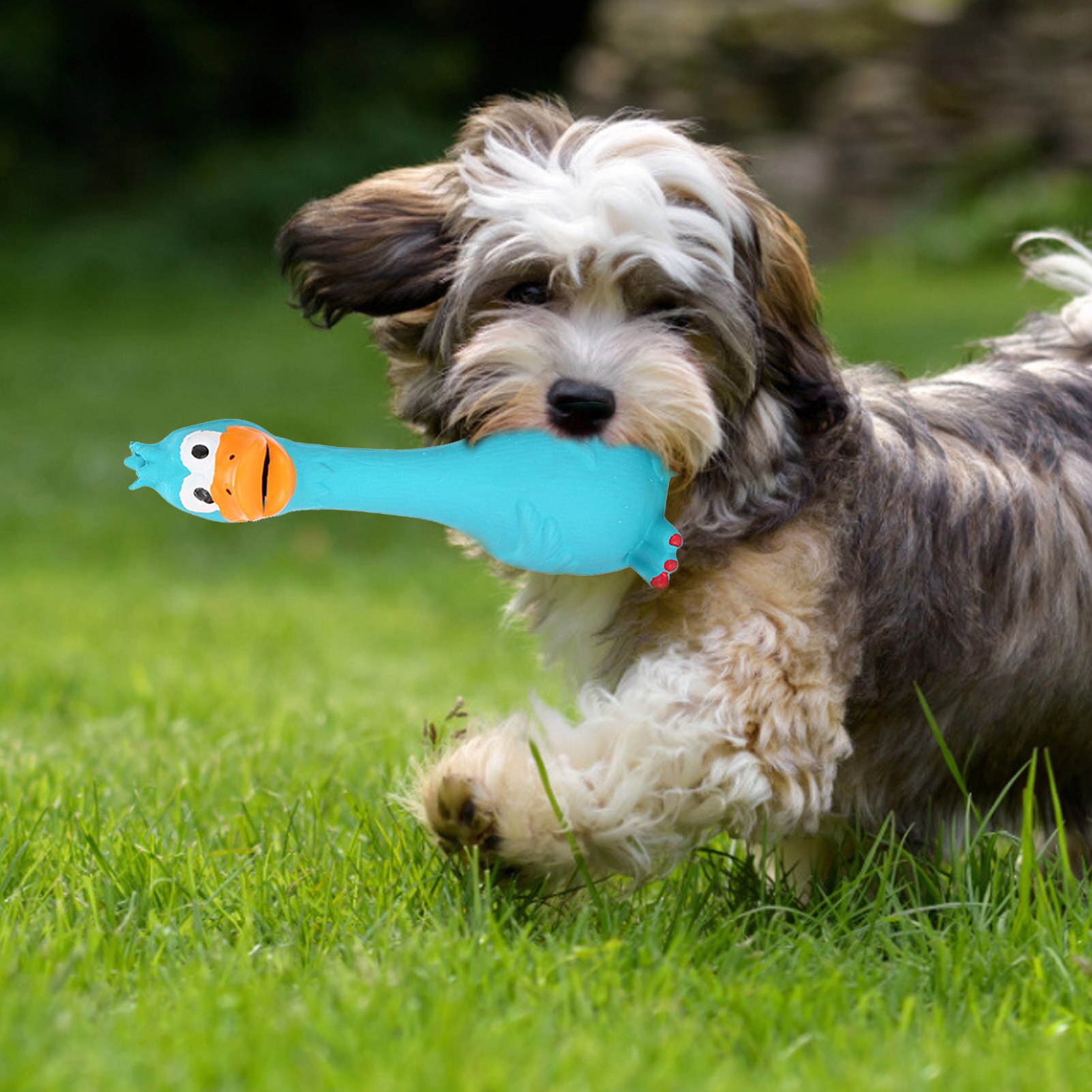 Newest Screaming Chicken Pets Dog Cats Toys Squeeze Squeaky Sound Funny Toy Safety Rubber For Dogs Molar Chew Toys