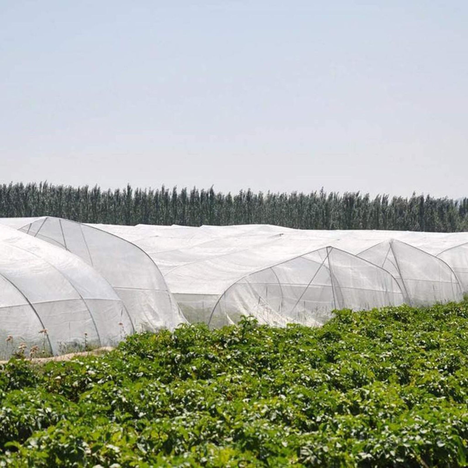 Hek Groenten Winter Herbruikbare Plant Cover Niet-geweven Stof Freeze Bescherming Plant Vorst Bescherming Deken Tuin